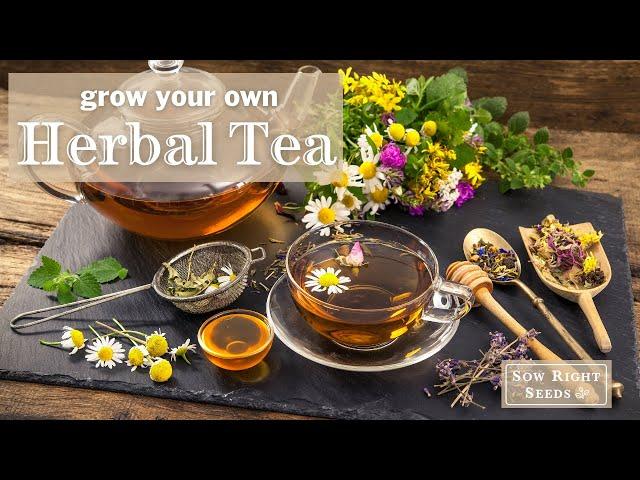 Sow Right Seeds | 10 Herbal Tea Seed Collection