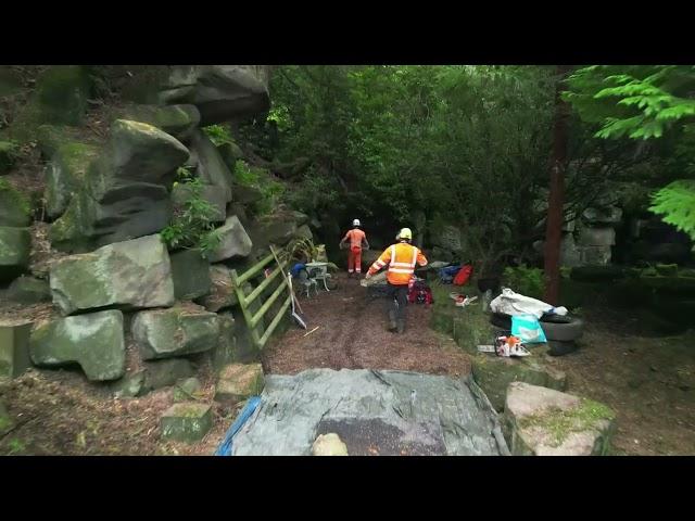 Thompson Tree Services Sydnope Hall Cedrus Deodara removal - Safety