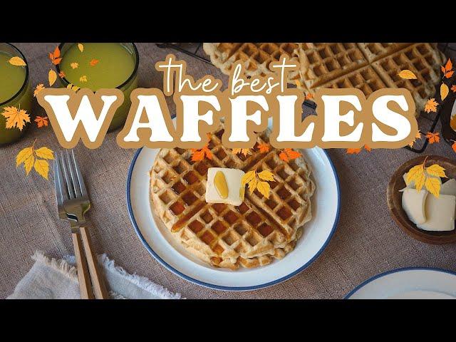 Easy Waffle Recipe  Recipe On Screen!