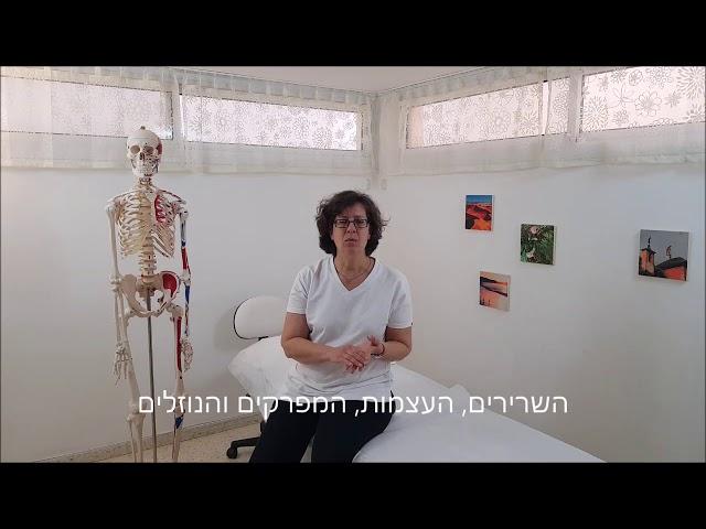 ענת גרינברג – אוסטאופתית, אוסטאופתיה היא רפואה אלטרנטיבית המחזירה את התנועתיות לאיברי הגוף