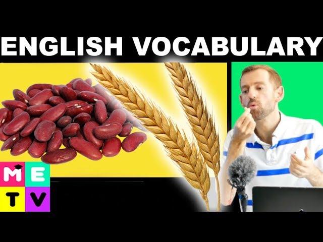 English Vocabulary | Grains & Legumes