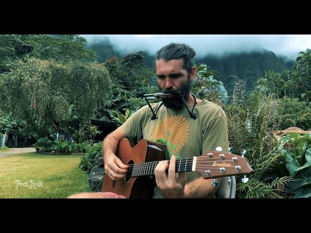 "Green Rows" by Paul Izak (Acoustic at Yogarden)
