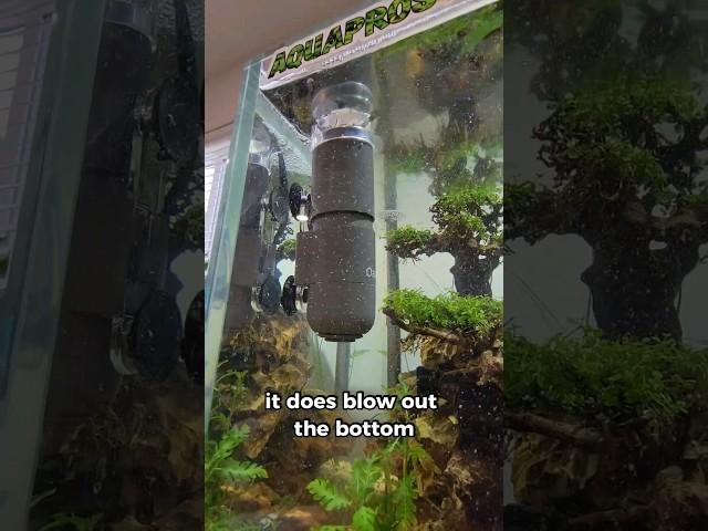 Keep Your Aquarium SUPER Clean With This!