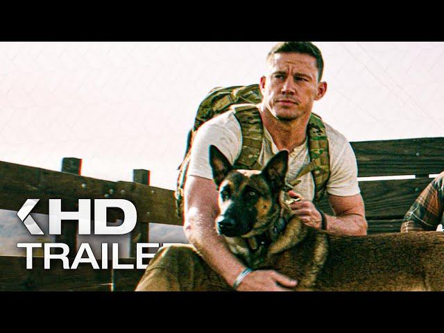 DOG Trailer (2022)