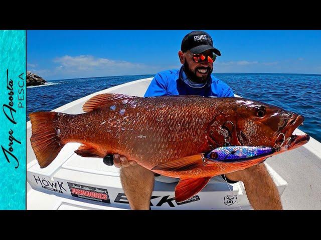 Pesca de PARGOS GIGANTES - Día ÉPICO!!!