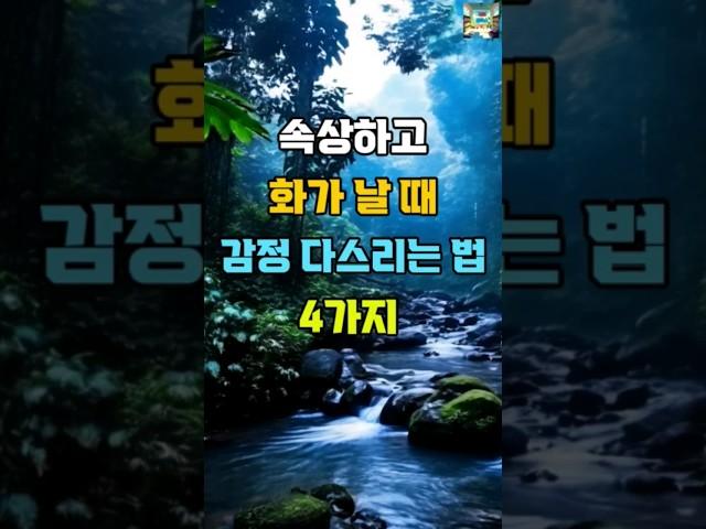 속상하고 화가 날 때 감정 다스리는 법 4가지  #명언 #좋은글 #지혜