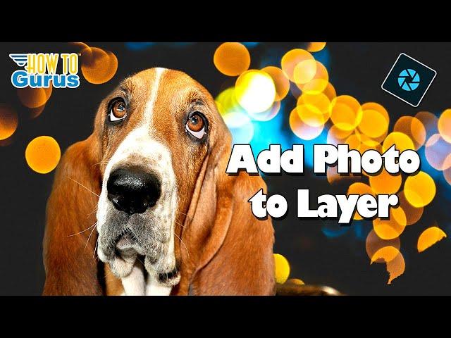 Photoshop Elements Tutorials for Beginners Add a Photo to a Layer