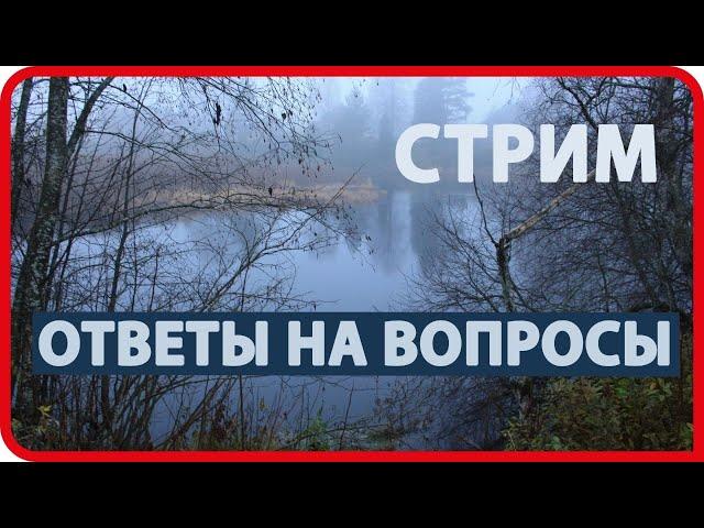 КУПИЛ ДОМ В ДЕРЕВНЕ / ОТВЕТЫ НА ВОПРОСЫ на КАНАЛЕ "БОЛЬШОЙ ДОМ В ДЕРЕВНЕ"