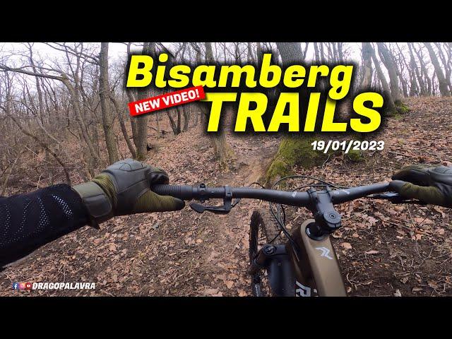 RADON SLIDE TRAIL 8.0 2022 | Bisamberg Trails | Drago Palavra