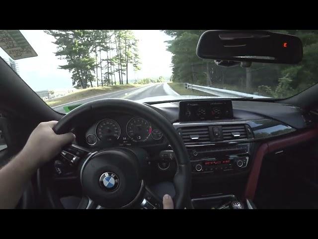 2015 BMW M4 Manual POV Review