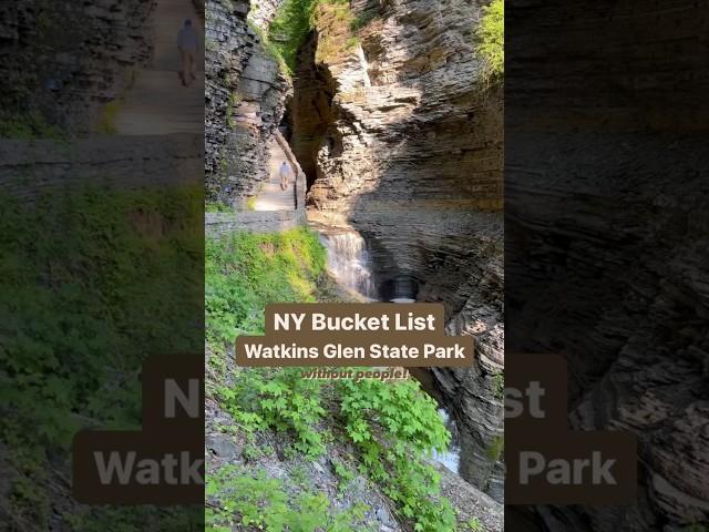 Watkins Glen State Park with no crowds! #waterfalls #watkinsglenstatepark #fingerlakes #shorts