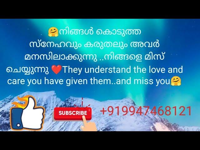 ️നിങ്ങൾ കൊടുത്ത സ്നേഹവും കരുതലും അവർ മനസിലാക്കുന്നു ..നിങ്ങളെ മിസ് ചെയ്യുന്നു ️#tarot