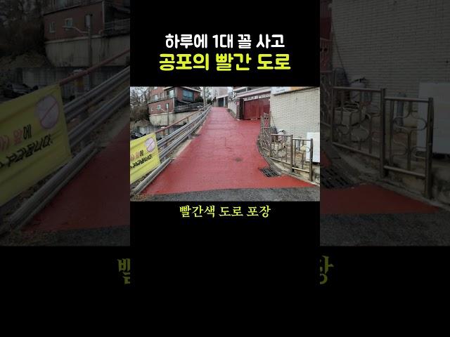 충격과 공포의 도로?