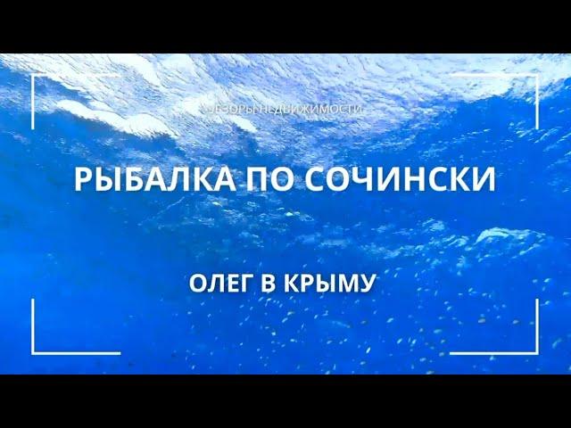 ЖИЗНЬ В СОЧИ 2024  | КАК МЫ С ДОЧЕЙ АКУЛУ ЛОВИТЬ ПОШЛИ #сочи #крым #олегвкрыму #рыбалка