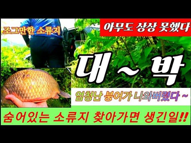 낚시 안하는 소류지/ 이런 녀석들이 나올거라 아무도 상상 못했다!!/ 숨겨진 소류지에서 생긴일!! #붕어낚시 #민물낚시 #월척붕어 #4짜붕어 #토종터 #대물낚시 #차대1보