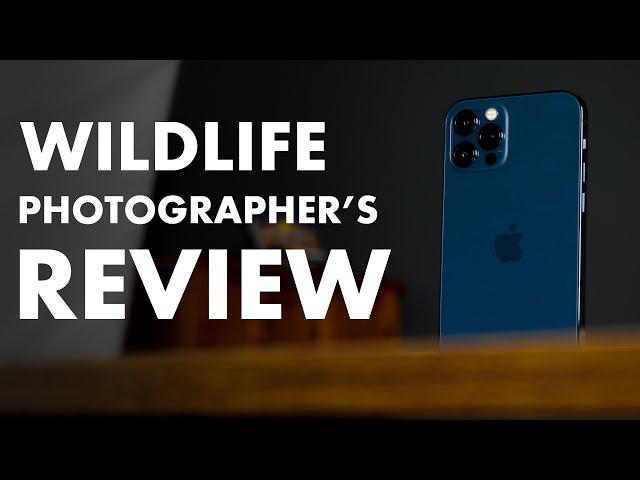 iPhone 12 Pro for Wildlife Photography??