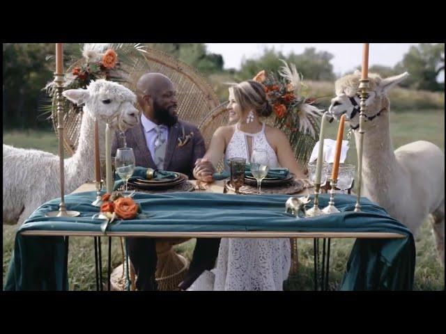 Green Meadows Alpaca Ranch ~ Alpaca Wedding