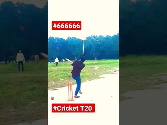 APL T10 cricket India #666666