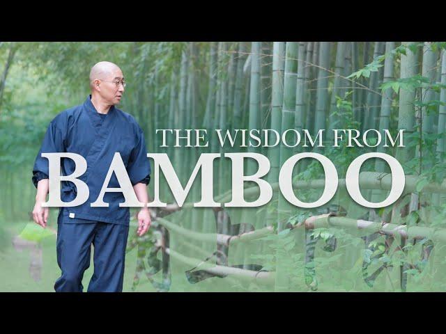 What can bamboo teach us? | Cup of Zen Vol. 10