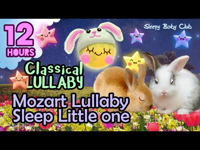 🟡 Mozart Lullaby Sleep Little One  Classical Music for Kids Lullaby  Best Baby Music for Sleeping