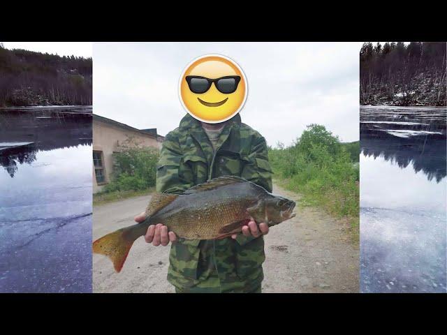 ЗИМНЯЯ РЫБАЛКА  ПРОДОЛЖАЕТСЯ / WINTER FISHING  CONTINUES