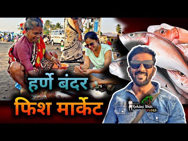 Vlog Harnai Fish market Dapoli   हर्णे मच्छि बंदर दापोली   kokani Bhai Vlogs | Kokan