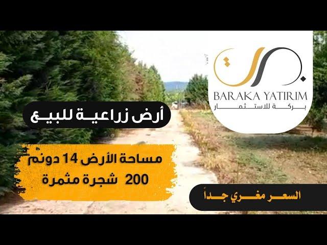 ارض زراعية للبيع في مدينة بورصة