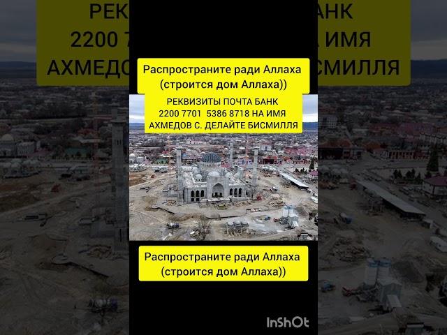 #любовь #аллах #напоминание #дуа #субханаллах #милость #пророк #тренд #аллоху #рек