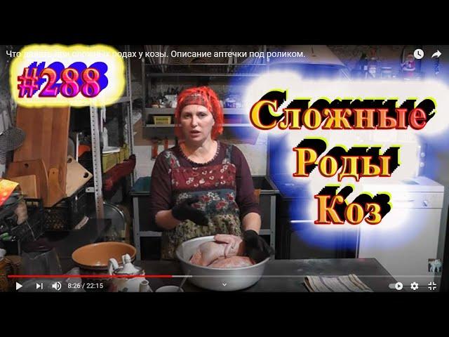 Что делать при сложных родах у козы. Описание аптечки под роликом.