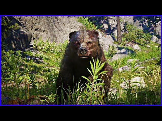 Arthur Brawls with Legendary Grizzly Bear | Red Dead Redemption 2 Game | Hippo Reddy