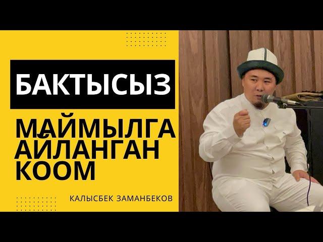 Калысбек Заманбеков: Бактысыз маймылга айланган коом | лидер умра 2023