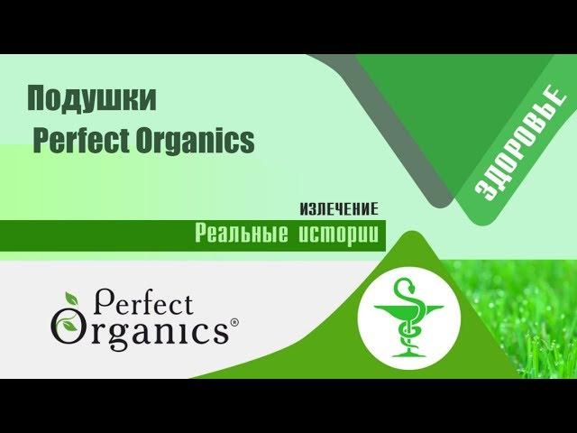 Подушки для хорошего сна Perfect Organics – нарасхват