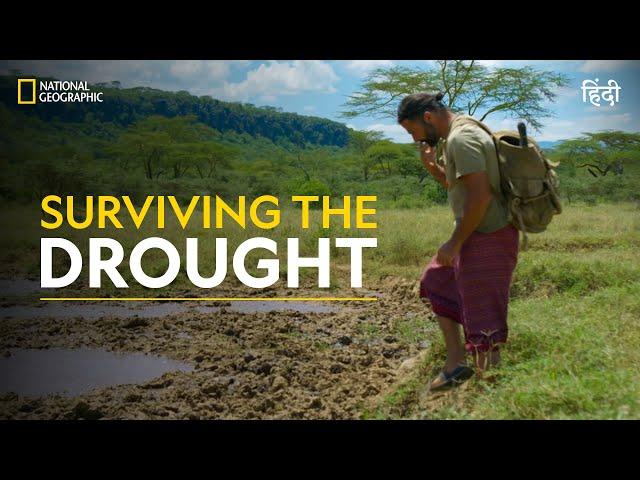 Surviving the Drought | Primal Survivor | हिन्दी | Full Episode | S7 - E1 | National Geographic