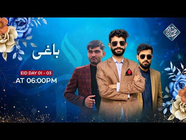 Watch Mega Vlog Serial Baaghi - This Eid ul Adha