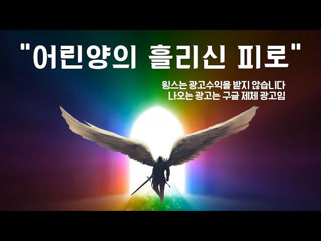 어린양의 흘리신 피로 1시간 찬양/The Most Anointed Song You Will Ever Hear/For Your Name Is Holy/PAUL WIBER