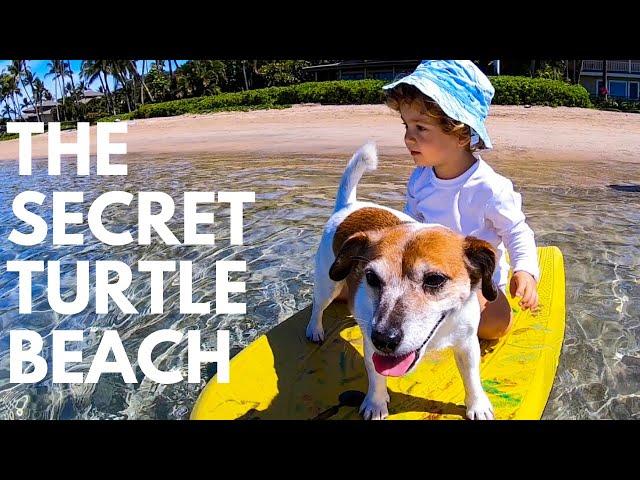 Things to Do in Maui with Kids | For an Unforgettable Family Vacation