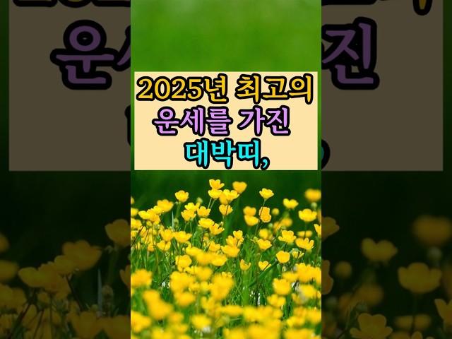 2025년 최고의 운세를 가진 대박띠
