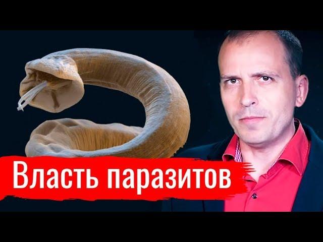 Власть паразитов. Константин Сёмин // АгитПроп 14.09.2019