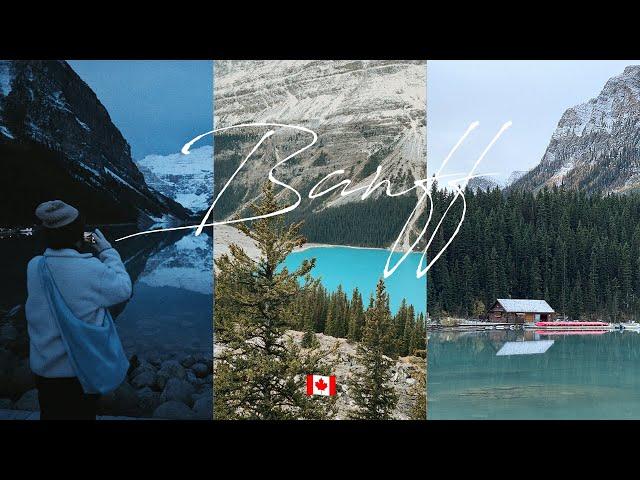 Unbelievable 4 nights and 5 days trip to Banff, Canada  | Lake Louise sunrise