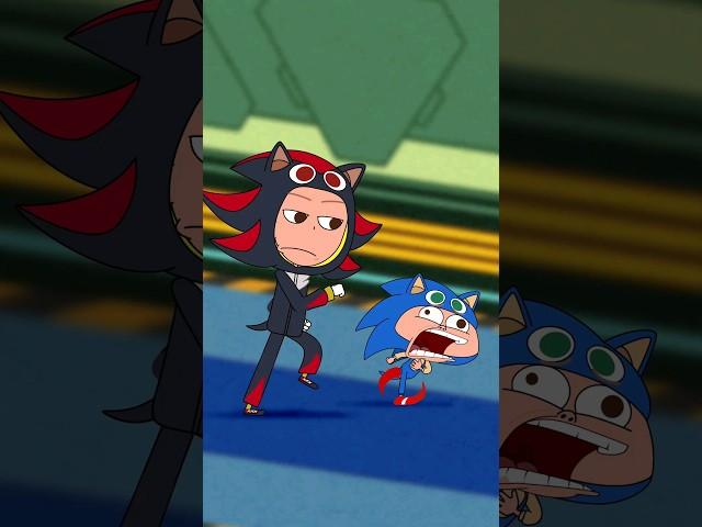 Can Sonic StEvEn Beat Shadow Parker?