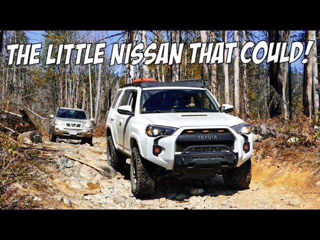 Toyota 4Runner & Nissan XTrail take on the Hale Creek! (Easy Way)