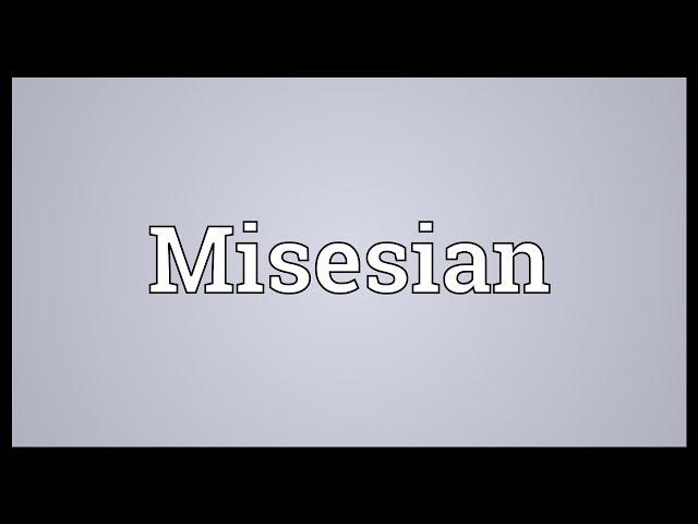 Misesian Meaning