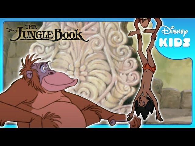  Monkeys Ambush Mowgli! | Jungle Book | Disney Kids