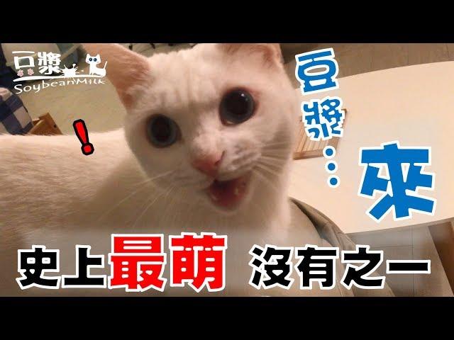 【豆漿 - SoybeanMilk】豆漿　過來！！
