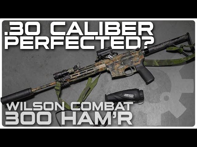 .30 Cal Perfected?  | The Wilson Combat 300 HAM'R