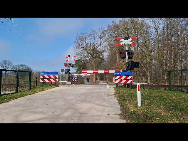 Spoorwegovergang Goor // Dutch Railroad Crossing