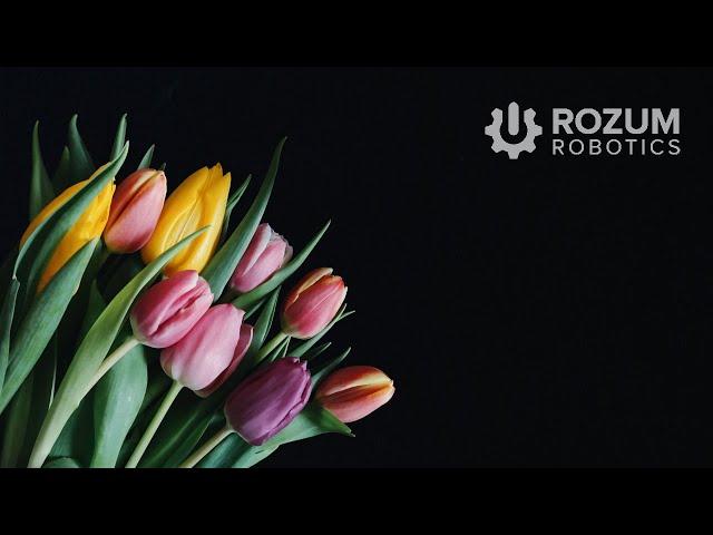 Congratulations on International Women's Day in the Rozum Robotics Company