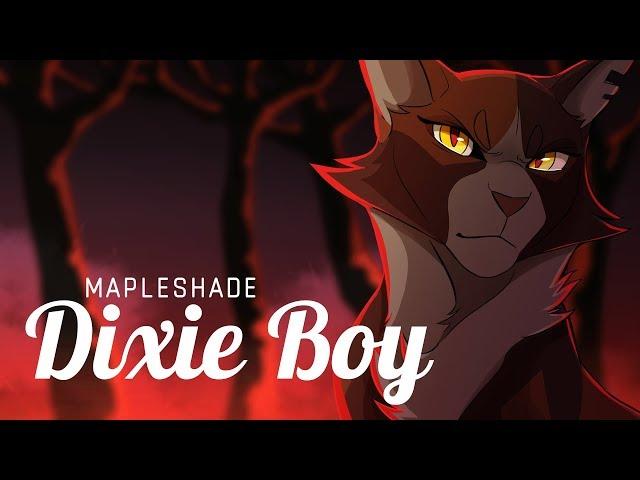 DIXIE BOY \\ Mapleshade PMV