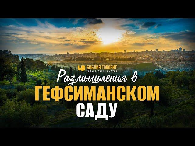 Размышления в Гефсиманском саду | #Израиль | Редакторский выпуск "Библия говорит"