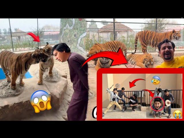 Five Tigers kiss Challenge  Mamu Ko Dea VS mamu ke sath bahut bura prank Ho Gaya